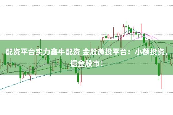 配资平台实力鑫牛配资 金股微投平台:小额投资,掘金股市!