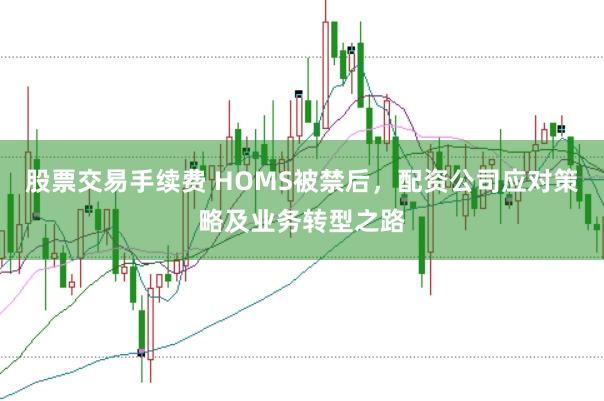 股票交易手续费 HOMS被禁后，配资公司应对策略及业务转型之路
