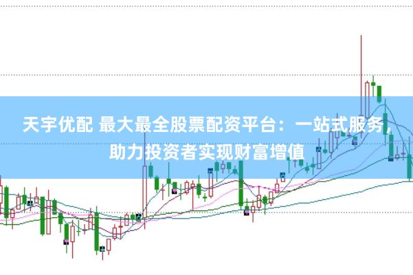 天宇优配 最大最全股票配资平台：一站式服务，助力投资者实现财富增值