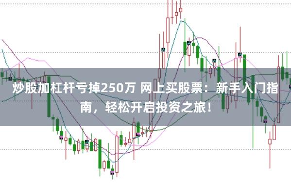 炒股加杠杆亏掉250万 网上买股票：新手入门指南，轻松开启投资之旅！