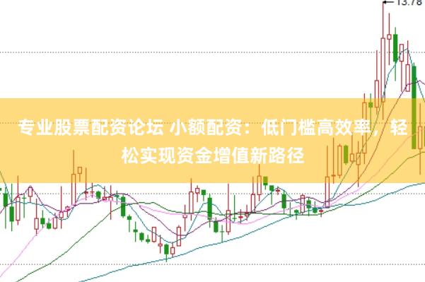 专业股票配资论坛 小额配资：低门槛高效率，轻松实现资金增值新路径