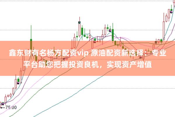 鑫东财有名杨方配资vip 原油配资新选择:专业平台助您把握投资良机,实现资产增值