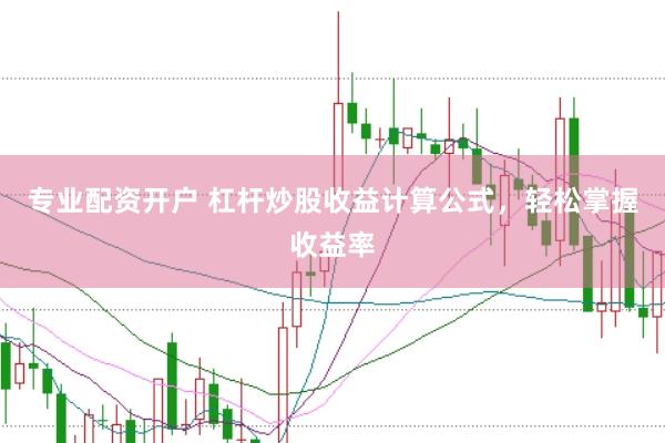 专业配资开户 杠杆炒股收益计算公式，轻松掌握收益率