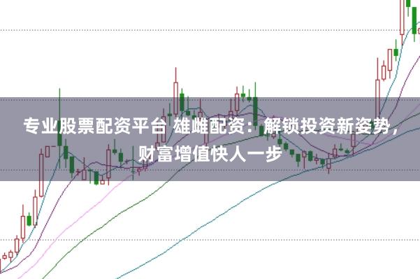 专业股票配资平台 雄雌配资：解锁投资新姿势，财富增值快人一步