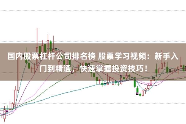国内股票杠杆公司排名榜 股票学习视频：新手入门到精通，快速掌握投资技巧！