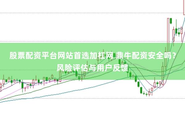 股票配资平台网站首选加杠网 鼎牛配资安全吗?风险评估与用户反馈