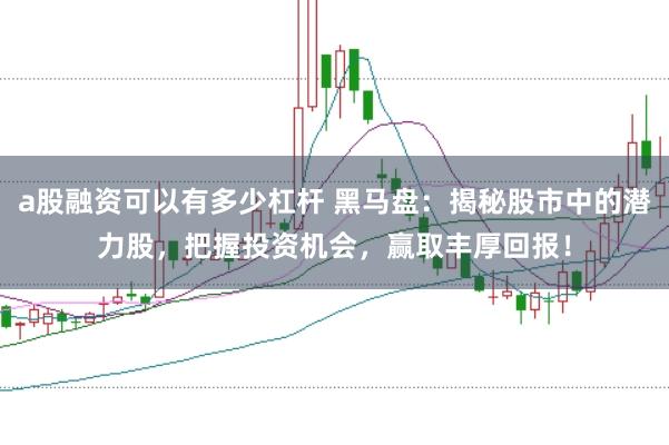 a股融资可以有多少杠杆 黑马盘:揭秘股市中的潜力股,把握投资机会,赢取丰厚回报!