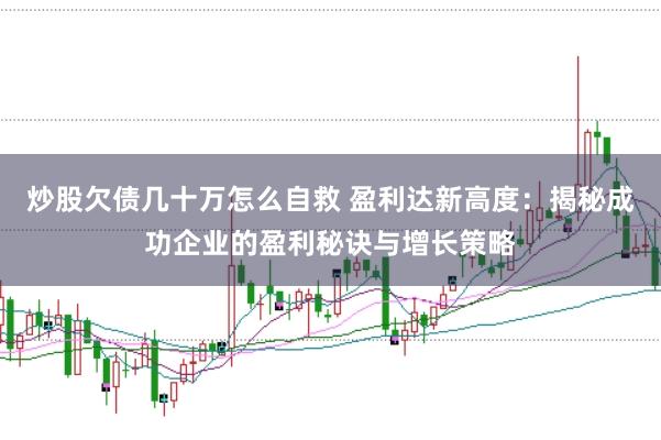 炒股欠债几十万怎么自救 盈利达新高度：揭秘成功企业的盈利秘诀与增长策略