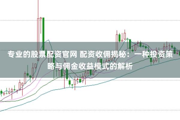 专业的股票配资官网 配资收佣揭秘：一种投资策略与佣金收益模式的解析
