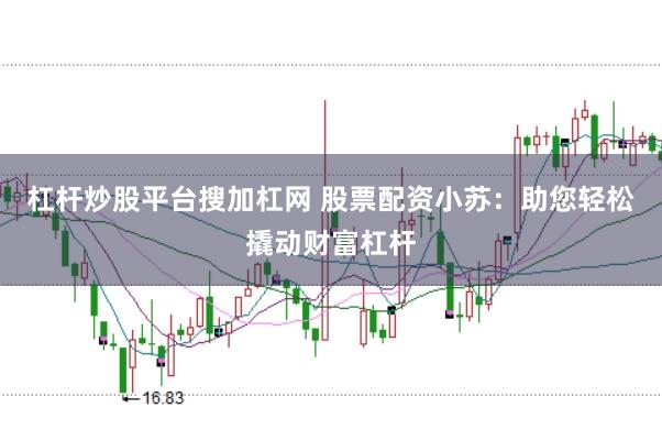 杠杆炒股平台搜加杠网 股票配资小苏：助您轻松撬动财富杠杆