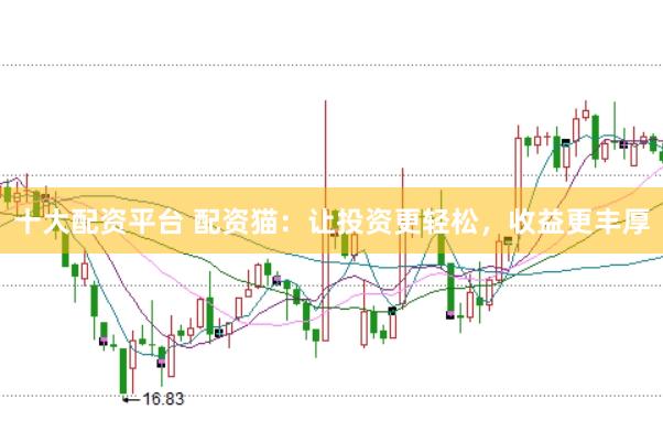 十大配资平台 配资猫：让投资更轻松，收益更丰厚