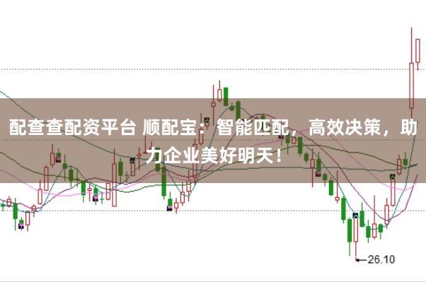 配查查配资平台 顺配宝：智能匹配，高效决策，助力企业美好明天！