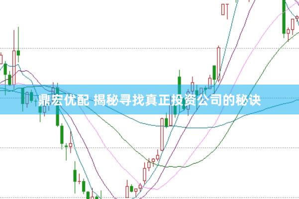 鼎宏优配 揭秘寻找真正投资公司的秘诀