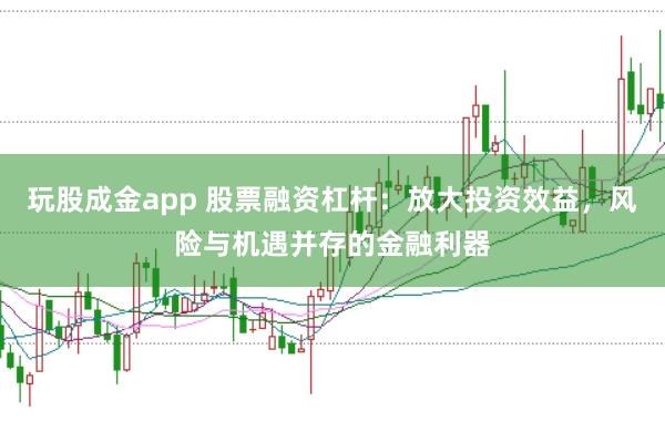 玩股成金app 股票融资杠杆:放大投资效益,风险与机遇并存的金融利器