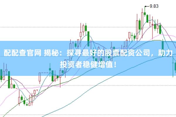 配配查官网 揭秘：探寻最好的股票配资公司，助力投资者稳健增值！