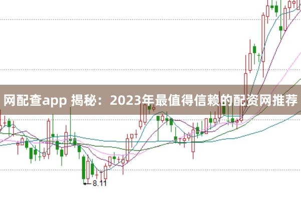 网配查app 揭秘：2023年最值得信赖的配资网推荐