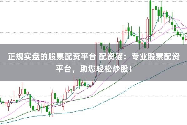 正规实盘的股票配资平台 配资猫：专业股票配资平台，助您轻松炒股！
