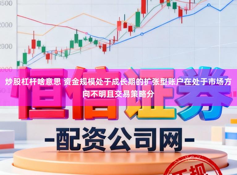 炒股杠杆啥意思 资金规模处于成长期的扩张型账户在处于市场方向不明且交易策略分