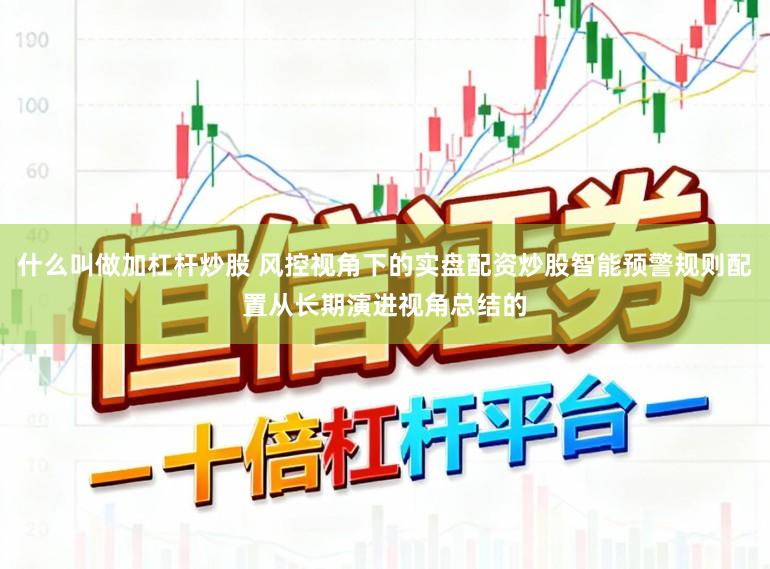 什么叫做加杠杆炒股 风控视角下的实盘配资炒股智能预警规则配置从长期演进视角总结的