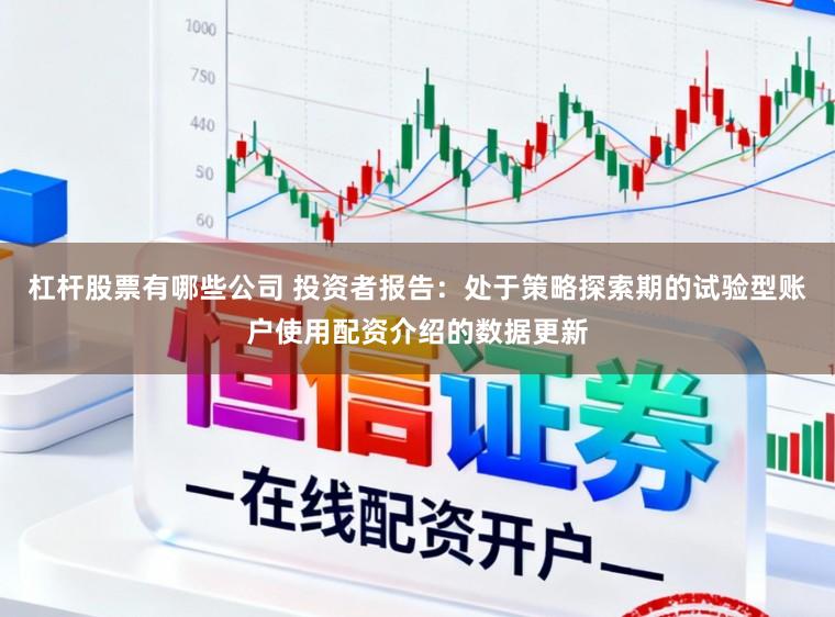杠杆股票有哪些公司 投资者报告：处于策略探索期的试验型账户使用配资介绍的数据更新